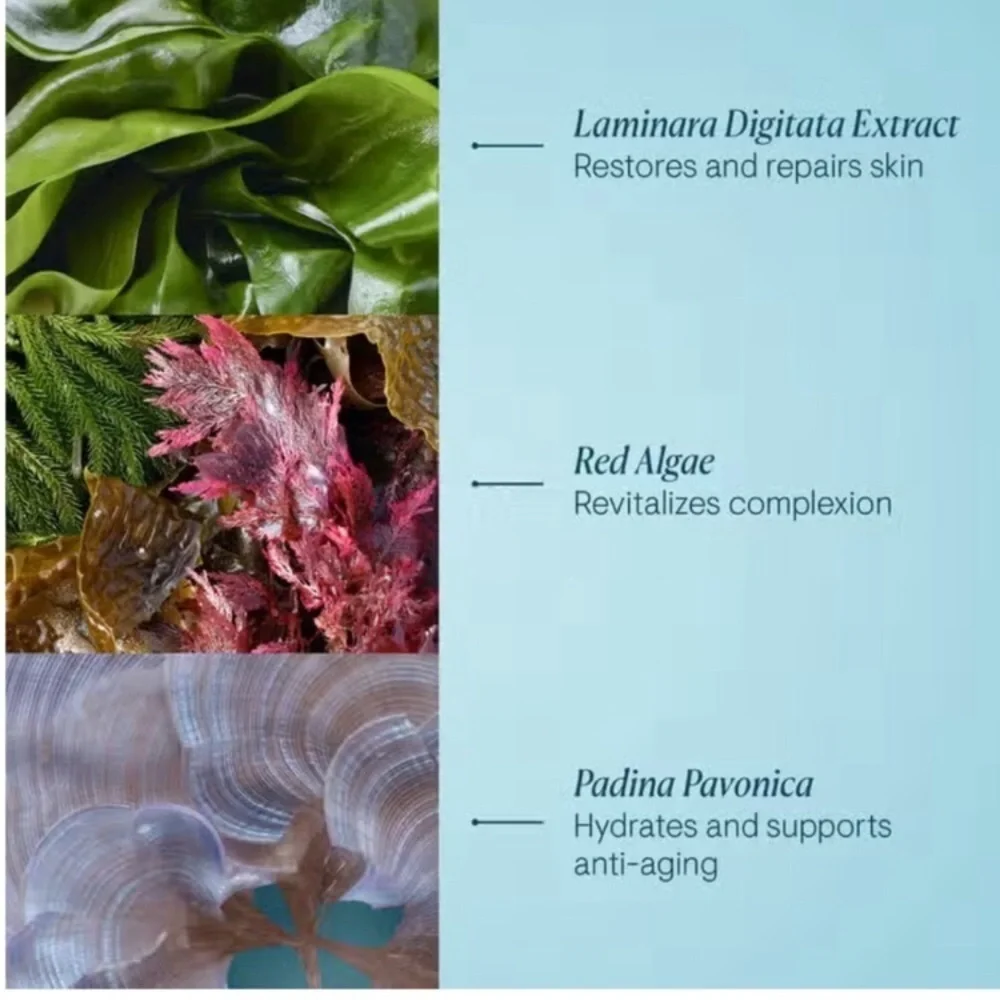 Elemis Pro-Collagen Night Cream